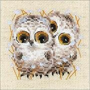 Riolis Little Owls Kit #1755 5" x 5"/13 cm x 13 cm X Stich Kit
